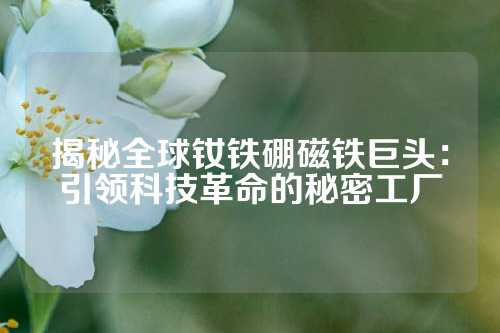 揭秘全球釹鐵硼磁鐵巨頭：引領科技革命的秘密工廠