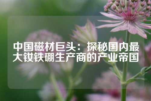 中國磁材巨頭：探秘國內最大釹鐵硼生產商的產業帝國