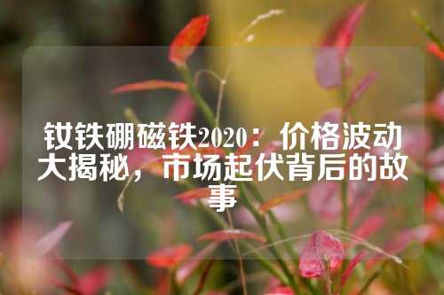 釹鐵硼磁鐵2020：價格波動大揭秘，市場起伏背后的故事