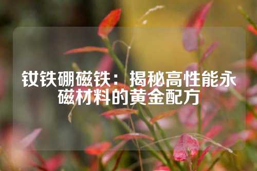 釹鐵硼磁鐵:揭秘高性能永磁材料的黃金配方