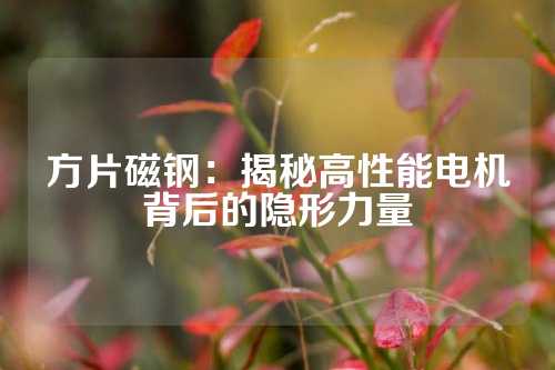 方片磁鋼:揭秘高性能電機(jī)背后的隱形力量