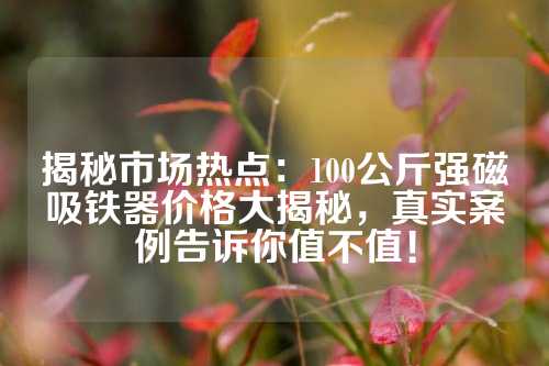 揭秘市場熱點：100公斤強磁吸鐵器價格大揭秘，真實案例告訴你值不值！
