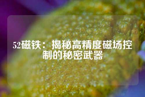 52磁鐵：揭秘高精度磁場控制的秘密武器