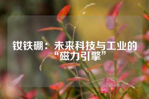釹鐵硼:未來科技與工業(yè)的“磁力引擎”