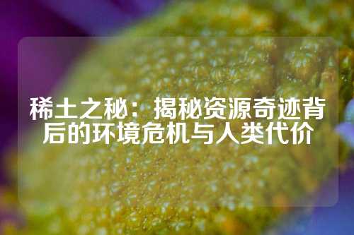 稀土之秘:揭秘資源奇跡背后的環(huán)境危機(jī)與人類代價(jià)
