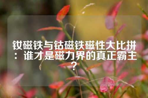 釹磁鐵與鈷磁鐵磁性大比拼:誰才是磁力界的真正霸主?