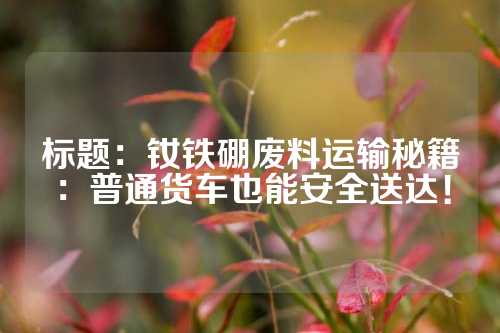 標(biāo)題:釹鐵硼廢料運(yùn)輸秘籍:普通貨車也能安全送達(dá)!