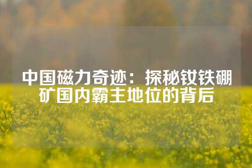 中國磁力奇跡：探秘釹鐵硼礦國內(nèi)霸主地位的背后