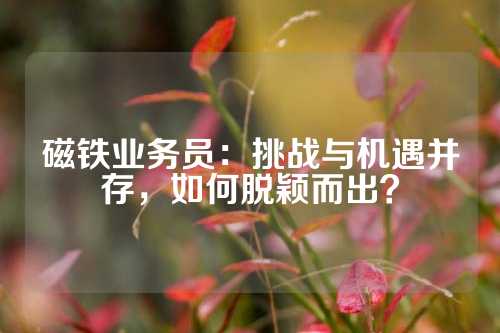 磁鐵業(yè)務(wù)員：挑戰(zhàn)與機(jī)遇并存，如何脫穎而出？