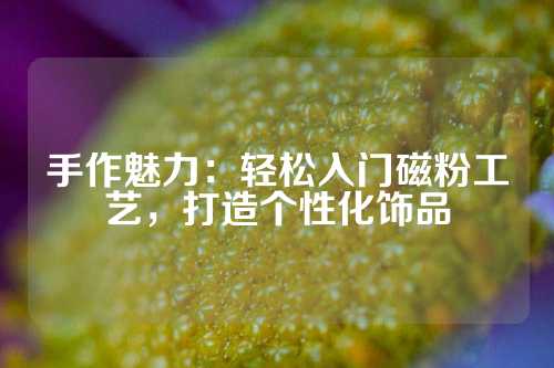 手作魅力:輕松入門磁粉工藝,打造個(gè)性化飾品