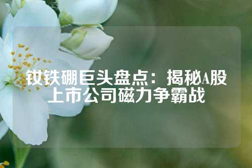 釹鐵硼巨頭盤(pán)點(diǎn)：揭秘A股上市公司磁力爭(zhēng)霸戰(zhàn)