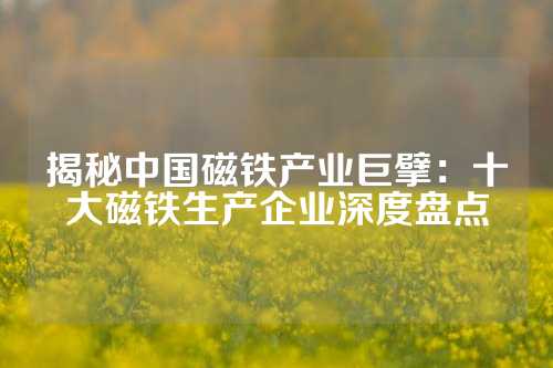 揭秘中國磁鐵產(chǎn)業(yè)巨擘:十大磁鐵生產(chǎn)企業(yè)深度盤點