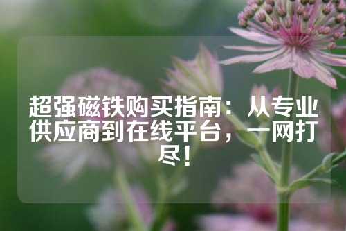 超強(qiáng)磁鐵購買指南:從專業(yè)供應(yīng)商到在線平臺(tái),一網(wǎng)打盡!