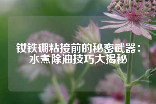 釹鐵硼粘接前的秘密武器:水煮除油技巧大揭秘