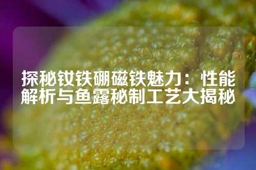探秘釹鐵硼磁鐵魅力:性能解析與魚露秘制工藝大揭秘