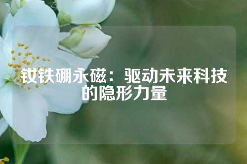 釹鐵硼永磁:驅(qū)動未來科技的隱形力量