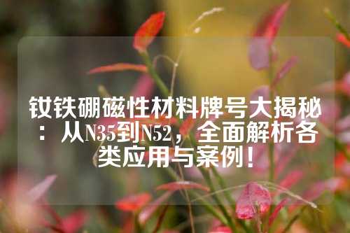 釹鐵硼磁性材料牌號(hào)大揭秘:從N35到N52,全面解析各類應(yīng)用與案例!