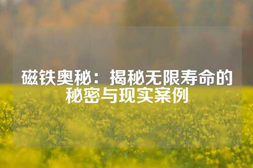 磁鐵奧秘:揭秘?zé)o限壽命的秘密與現(xiàn)實(shí)案例