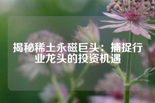 揭秘稀土永磁巨頭:捕捉行業(yè)龍頭的投資機(jī)遇