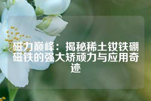 磁力巔峰：揭秘稀土釹鐵硼磁鐵的強(qiáng)大矯頑力與應(yīng)用奇跡