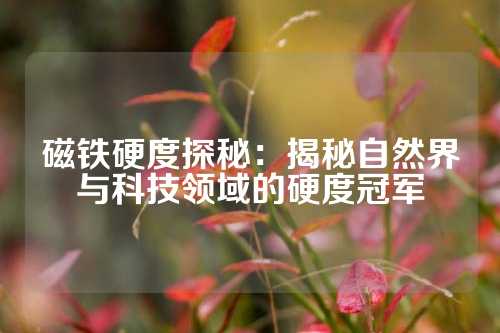 磁鐵硬度探秘:揭秘自然界與科技領域的硬度冠軍