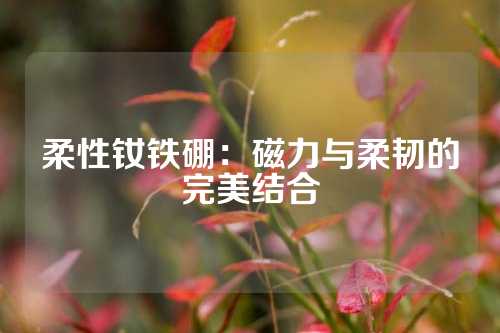 柔性釹鐵硼:磁力與柔韌的完美結(jié)合