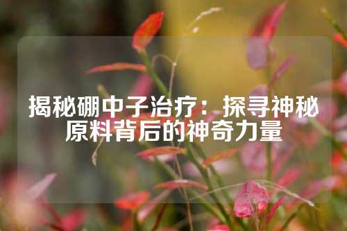 揭秘硼中子治療:探尋神秘原料背后的神奇力量