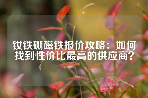 釹鐵硼磁鐵報(bào)價(jià)攻略:如何找到性價(jià)比最高的供應(yīng)商?