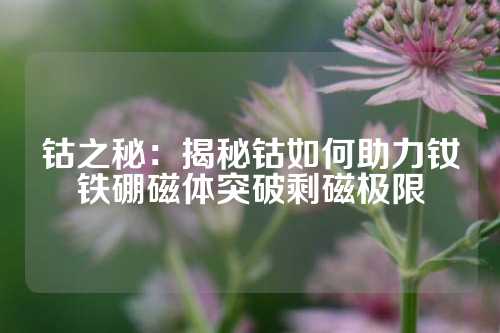 鈷之秘:揭秘鈷如何助力釹鐵硼磁體突破剩磁極限