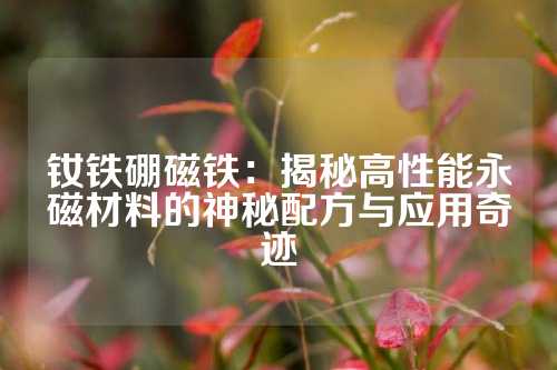 釹鐵硼磁鐵:揭秘高性能永磁材料的神秘配方與應用奇跡