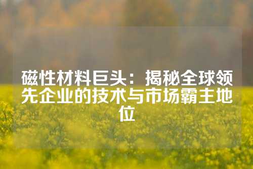 磁性材料巨頭:揭秘全球領(lǐng)先企業(yè)的技術(shù)與市場霸主地位