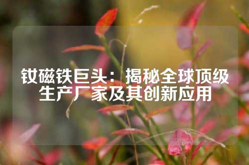 釹磁鐵巨頭:揭秘全球頂級(jí)生產(chǎn)廠家及其創(chuàng)新應(yīng)用