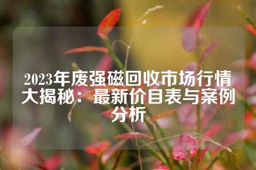 2023年廢強磁回收市場行情大揭秘:最新價目表與案例分析