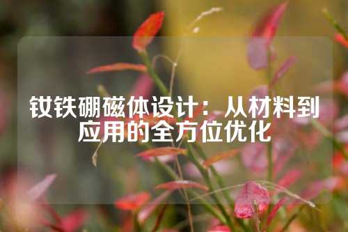 釹鐵硼磁體設(shè)計:從材料到應(yīng)用的全方位優(yōu)化