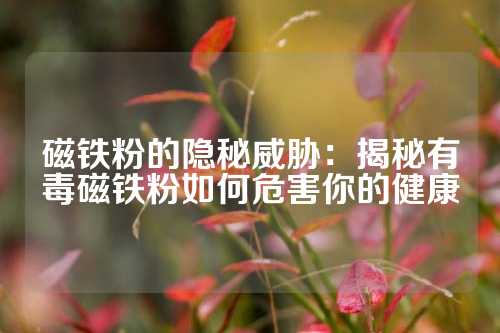 磁鐵粉的隱秘威脅:揭秘有毒磁鐵粉如何危害你的健康