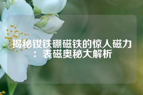 揭秘釹鐵硼磁鐵的驚人磁力:表磁奧秘大解析