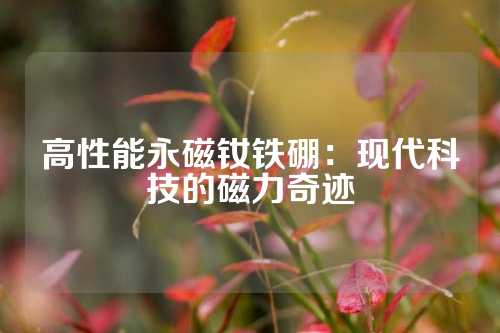 高性能永磁釹鐵硼:現(xiàn)代科技的磁力奇跡