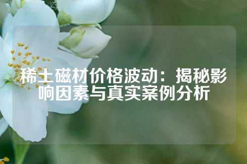 稀土磁材價格波動:揭秘影響因素與真實案例分析