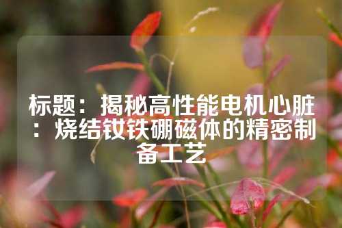 標題:揭秘高性能電機心臟:燒結釹鐵硼磁體的精密制備工藝