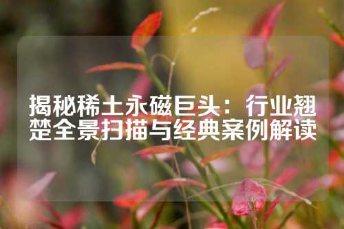 揭秘稀土永磁巨頭:行業(yè)翹楚全景掃描與經(jīng)典案例解讀