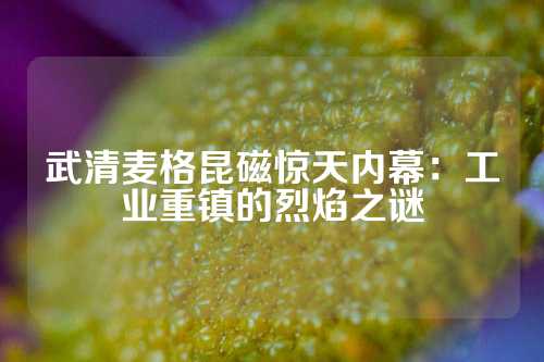 武清麥格昆磁驚天內(nèi)幕：工業(yè)重鎮(zhèn)的烈焰之謎