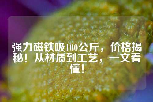 強(qiáng)力磁鐵吸100公斤,價(jià)格揭秘!從材質(zhì)到工藝,一文看懂!
