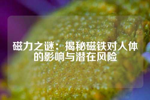 磁力之謎:揭秘磁鐵對(duì)人體的影響與潛在風(fēng)險(xiǎn)