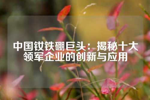 中國釹鐵硼巨頭:揭秘十大領(lǐng)軍企業(yè)的創(chuàng)新與應(yīng)用