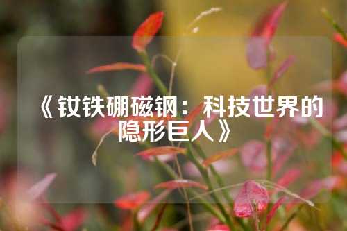 《釹鐵硼磁鋼:科技世界的隱形巨人》