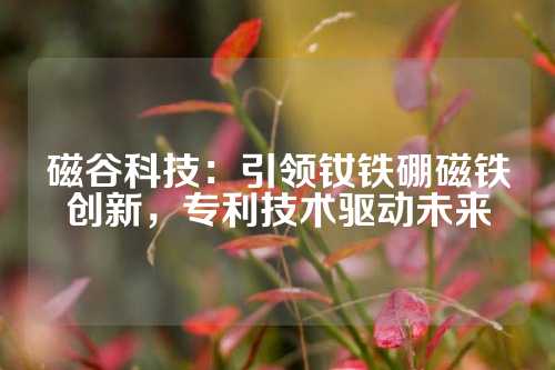 磁谷科技:引領(lǐng)釹鐵硼磁鐵創(chuàng)新,專利技術(shù)驅(qū)動未來