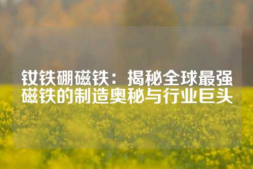釹鐵硼磁鐵:揭秘全球最強(qiáng)磁鐵的制造奧秘與行業(yè)巨頭