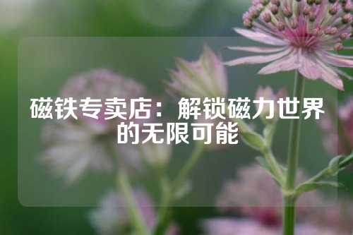 磁鐵專(zhuān)賣(mài)店:解鎖磁力世界的無(wú)限可能