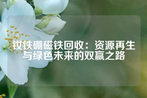 釹鐵硼磁鐵回收:資源再生與綠色未來的雙贏之路
