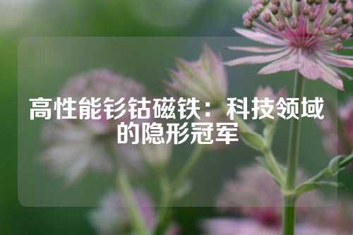 高性能釤鈷磁鐵:科技領(lǐng)域的隱形冠軍